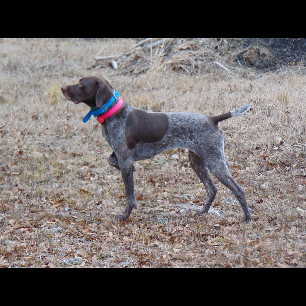 Meet your Posher, Margaret